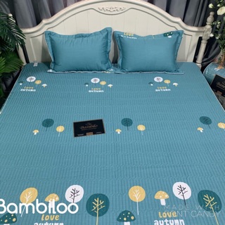 Combo ga gối chun trần và tấm bảo vệ nệm mỏng 1m8x2m