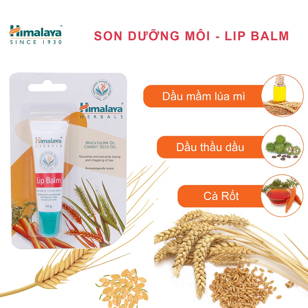 Son dưỡng hồng môi chiết xuất cà rốt Himalaya Lip Balm 10g