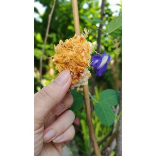 CƠM CHÁY CHÀ BÔNG NGON GIÒN
