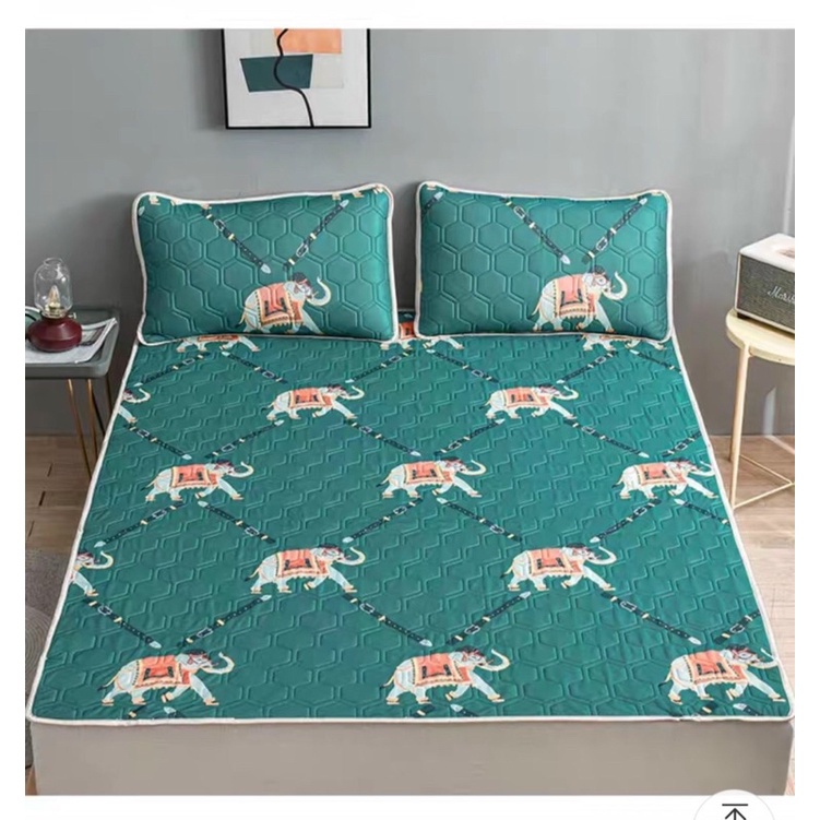 Chiếu điều hòa cao su non kèm 2 vỏ gối Latex nhập khẩu chính hãng