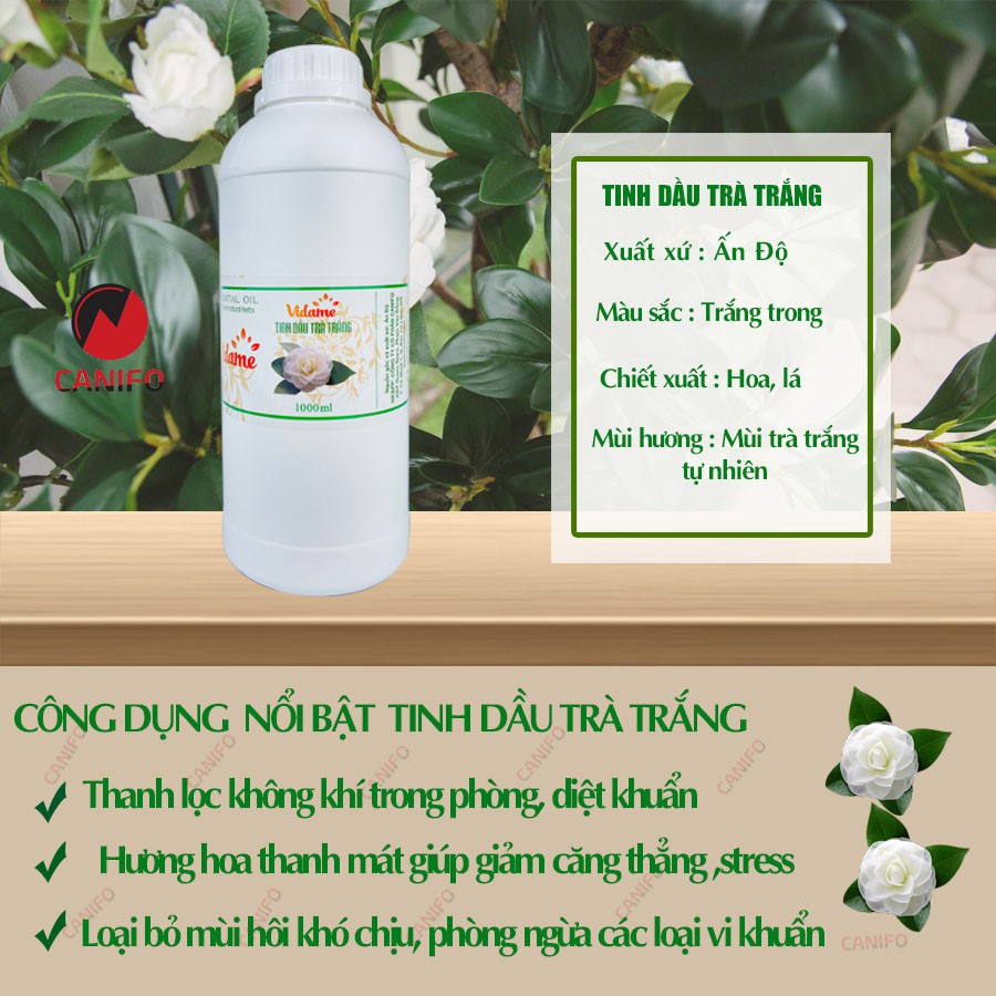 💥TÌM SỈ💥 Tinh dầu trà trắng 1 LÍT CANIFO thanh khiết 🌿𝐅𝐑𝐄𝐄𝐒𝐇𝐈𝐏🌿 HÀNG CÔNG TY nhập khẩu ẤN ĐỘ có kiểm định COA