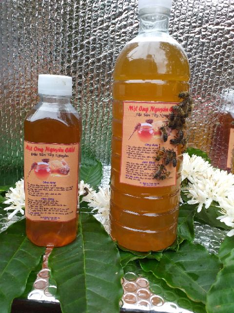 Mật ong. 1 lít mật ong hoa cà phê 100% loại đặc biệt. CAM KẾT HÀNG CHẤT LƯỢNG KHÔNG ĐÂU RẺ BẰNG. | BigBuy360 - bigbuy360.vn