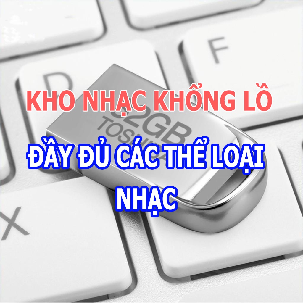 Usb 32G nghe nhạc ô tô, phụ kiện xe hơi, Có sẵn 1800 bài hát