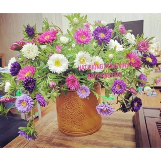 1200 hạt cúc Đài Loan ( cúc Magic)  mix màu