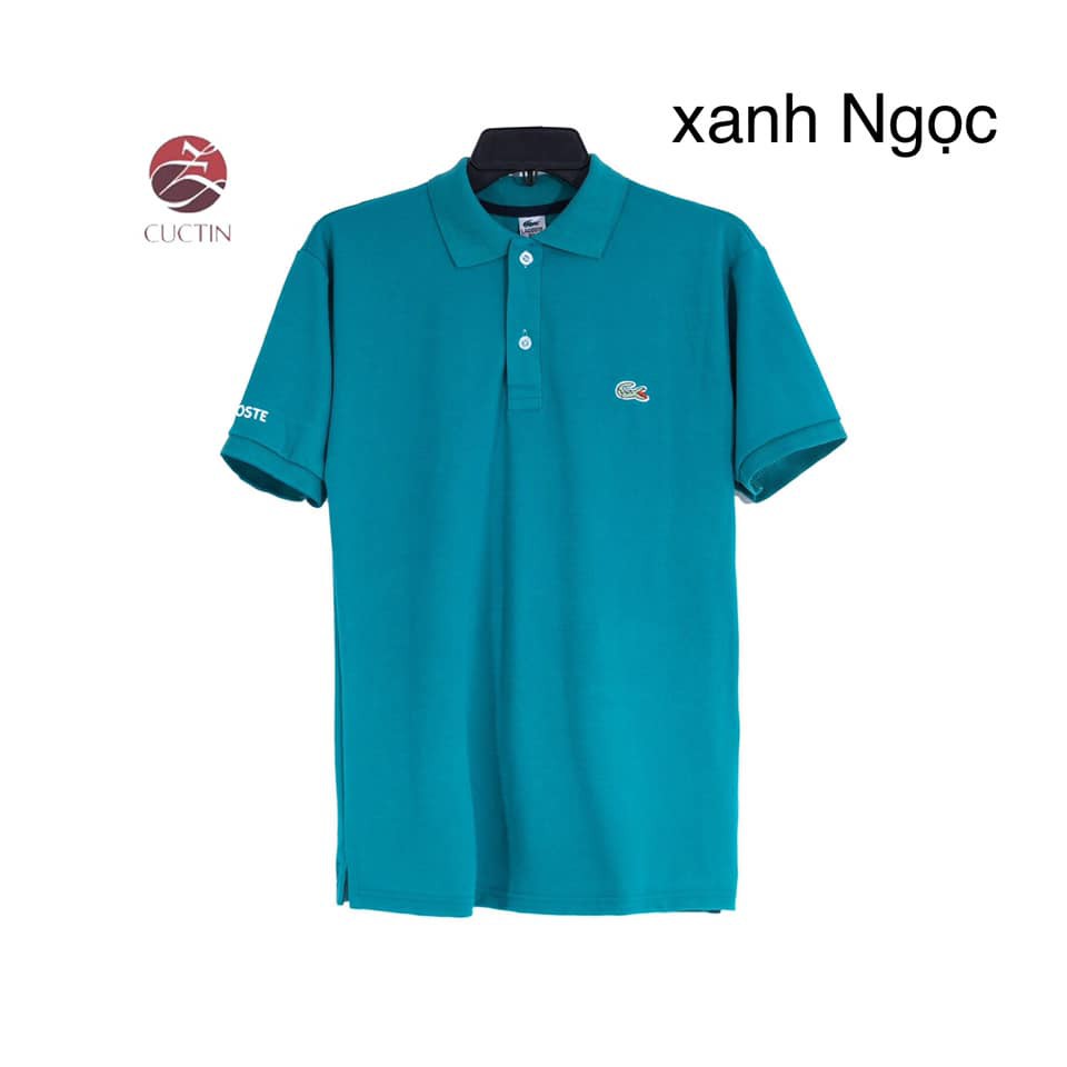 ÁO THUN CÁ SẤU, SIZE L - 3XL. CÚC TIN