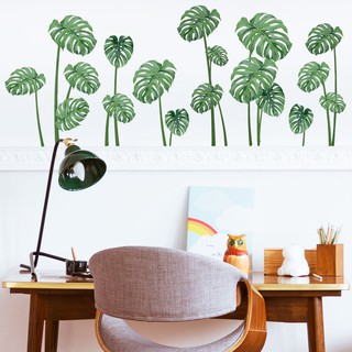 Decal Dán Tường Cây Cỏ Nam Phi