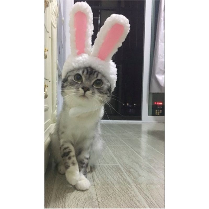 Nón Tai Thỏ Cute Dành Cho Boss