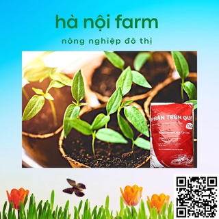 Phân trùn quế ( OSG ) - bao 10kg