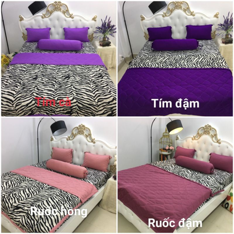 Drap Thun Màu Phối Beo Combo 4 món 1 drap 2 vỏ gối nằm 1 vỏ gối ôm