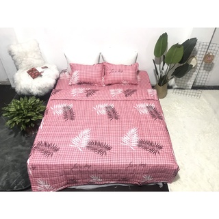 Sét chăn hè ga gối poly cotton 4 món nhập khẩu