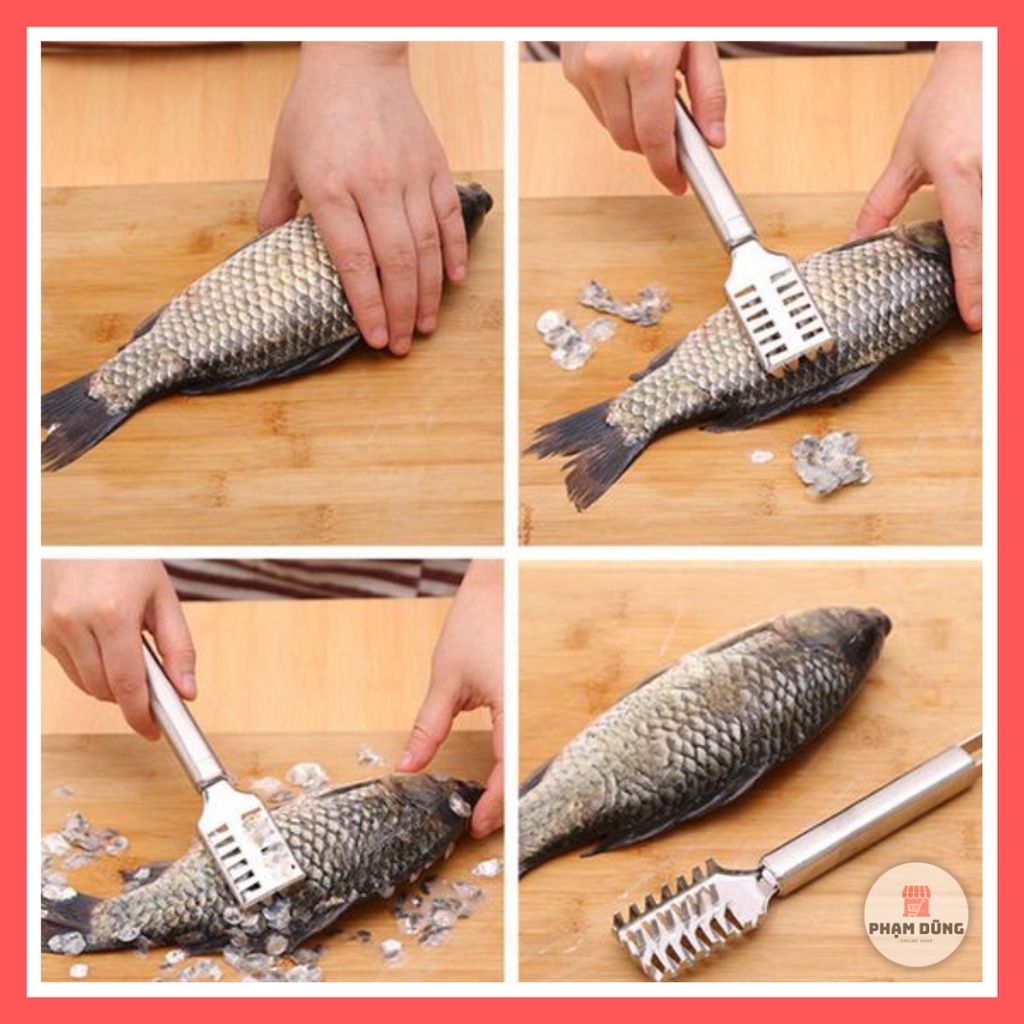 Dụng cụ đánh vảy cá chuyên dụng bằng inox cao cấp