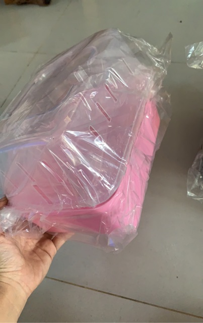 Lồng xách tay mini