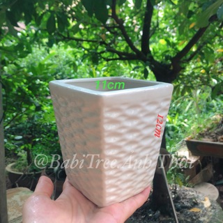Chậu Vân,Chậu mắt na Chậu Sứ Bát Tràng, Chậu Lỗ Đẹp