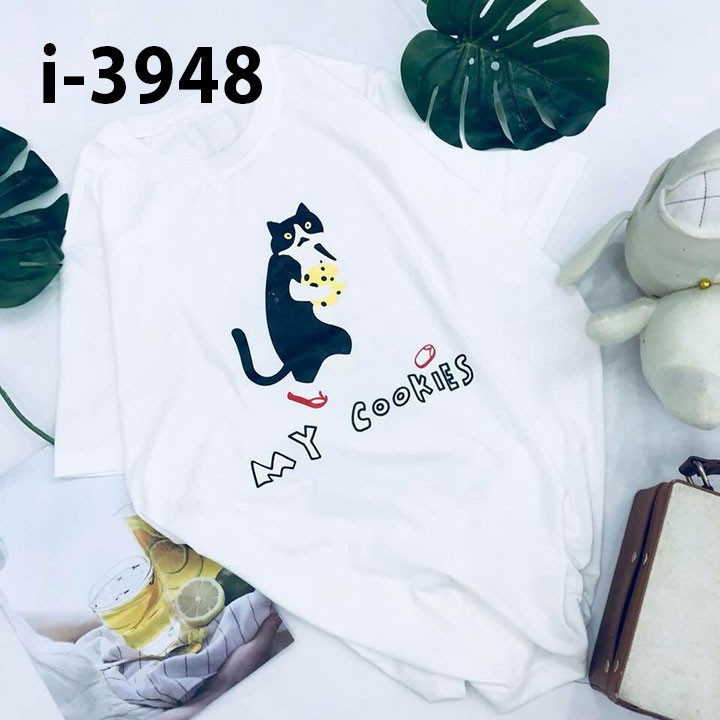 ➡️I3948 Chuyên Sỉ Áo Thun Tay Lỡ Giá Rẻ Vô Đối ✨Áo Phông Bán Chạy ✨Áo Thun Phông Cotton Siêu Đẹp ✨Hàng VNXK❤