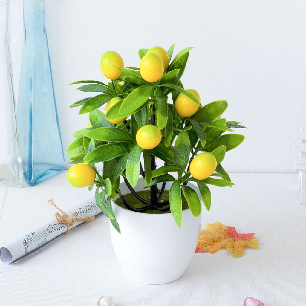 Chậu Cây Cảnh Giả Bằng Nhựa 12 Lưới Để Bàn Trang Trí