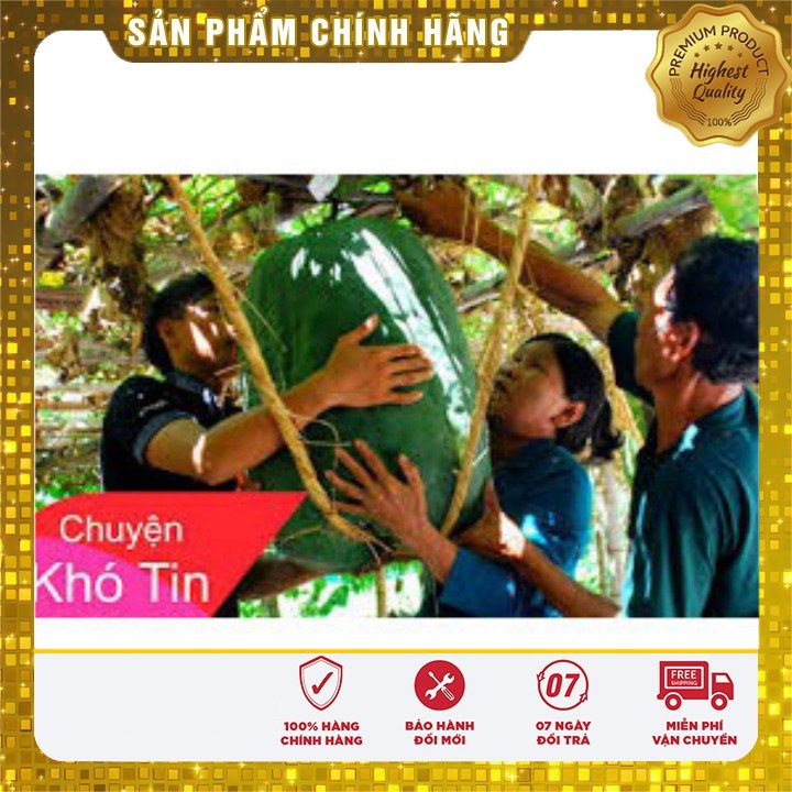 Hạt giống bí đao xanh khổng lồ - 5 hạt