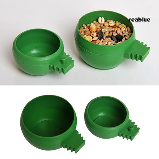 Tô nhựa đựng thức ăn cho chim cảnh