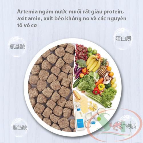 Thức Ăn Cá Sunsun Frozen Dry Shrimp Food Artemia Sấy Khô