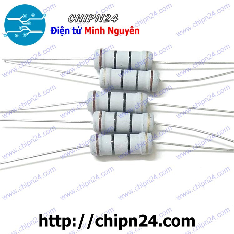 [5 CON] Điện Trở 1R 2W