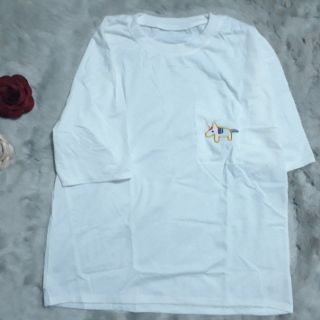 Combo 4 cái áo thun coton form rộng