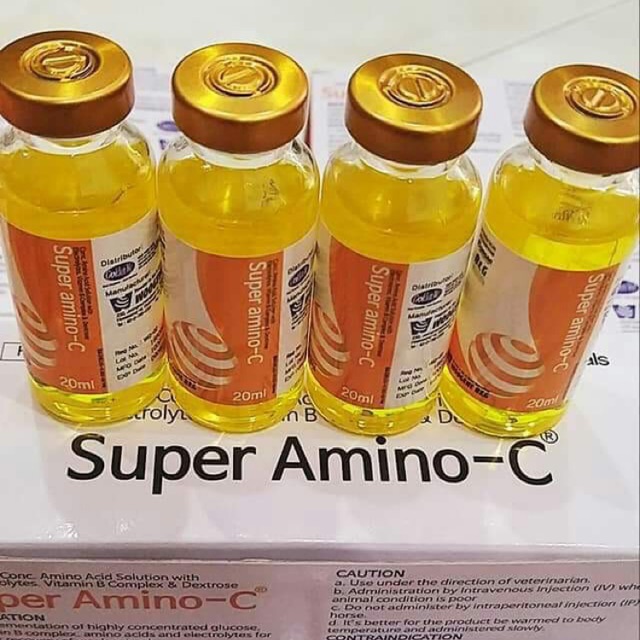 Vitamin nuôi gà SUPER AMINO-C 20ml - 100ml