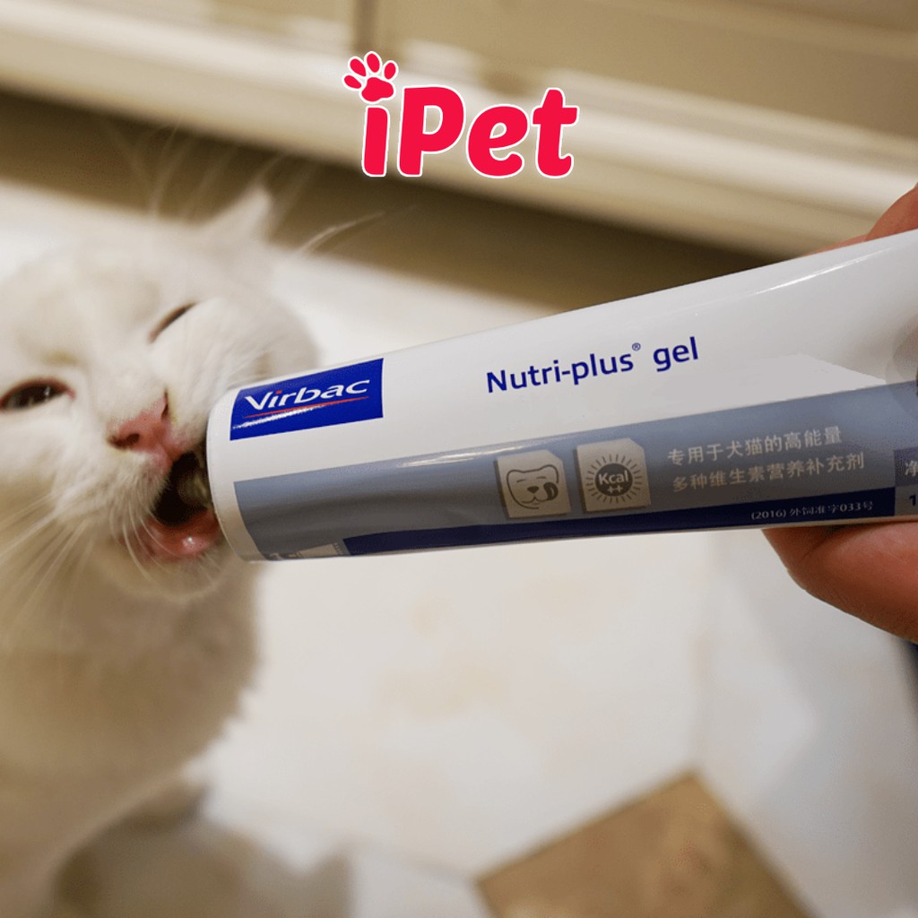[GIAO HÀNG NHANH] Gel dinh dưỡng cho chó mèo bệnh biếng ăn gầy gọc - Nutri plus gel virbac - iPet Shop