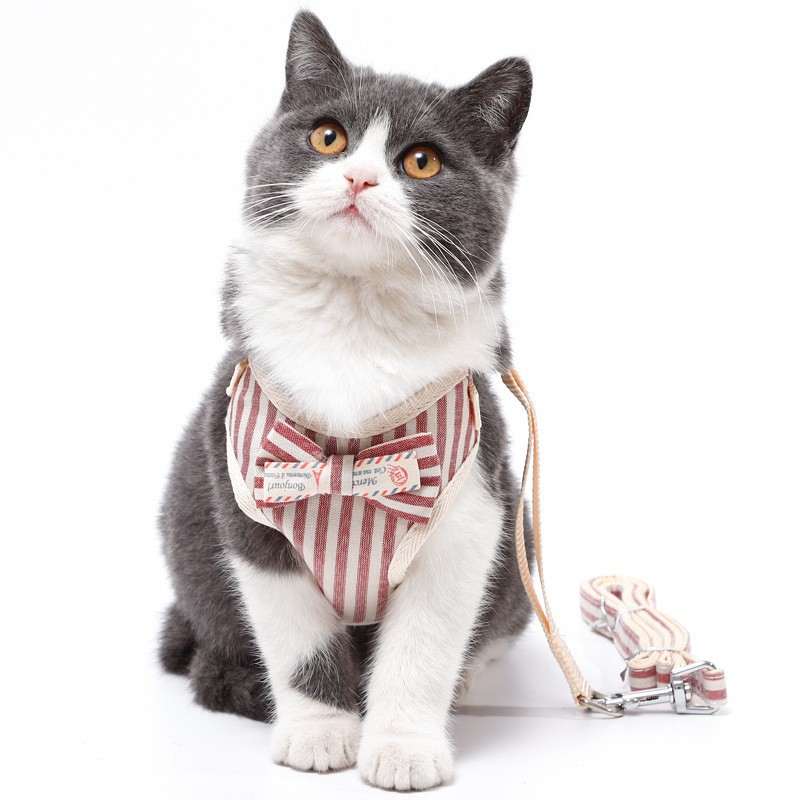 Áo Yếm Kèm Dây Dắt Đi Dạo Cho Chó Mèo Thời Trang Dễ Thương