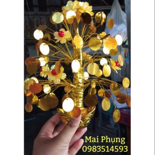 Sỉ 10 chậu cành vàng lá ngọc cao