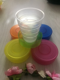 Ly nhựa gấp gọn du lịch