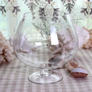 BỂ CÁ CHẬU CÂY THỦY TINH CÓ CHÂN