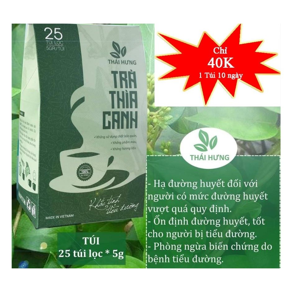 Trà túi lọc Thái Hưng 125gr cà gai leo, thìa canh, đinh lăng, giảo cổ lam - Bộ sản phẩm tuyệt vời cho sức khỏe