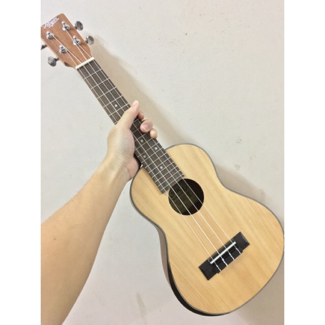 ĐÀN UKULELE CONCERT HOYER LANIKAI