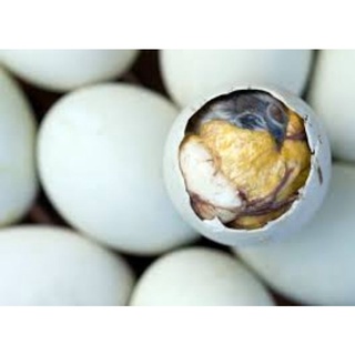 10 trứng vịt lộn