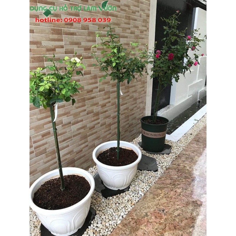 Ống thép phi 8 dài 120cm-set 10 ống chuyên dùng làm khung giàn cho cây leo