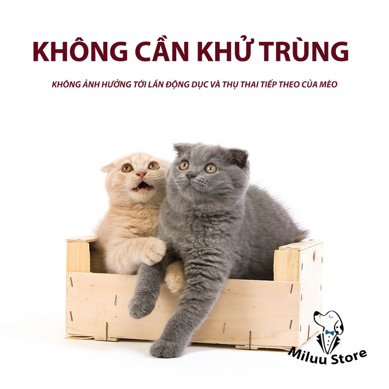 Bột an thần cho mèo, bột kiểm soát cơn động dục của thú cưng