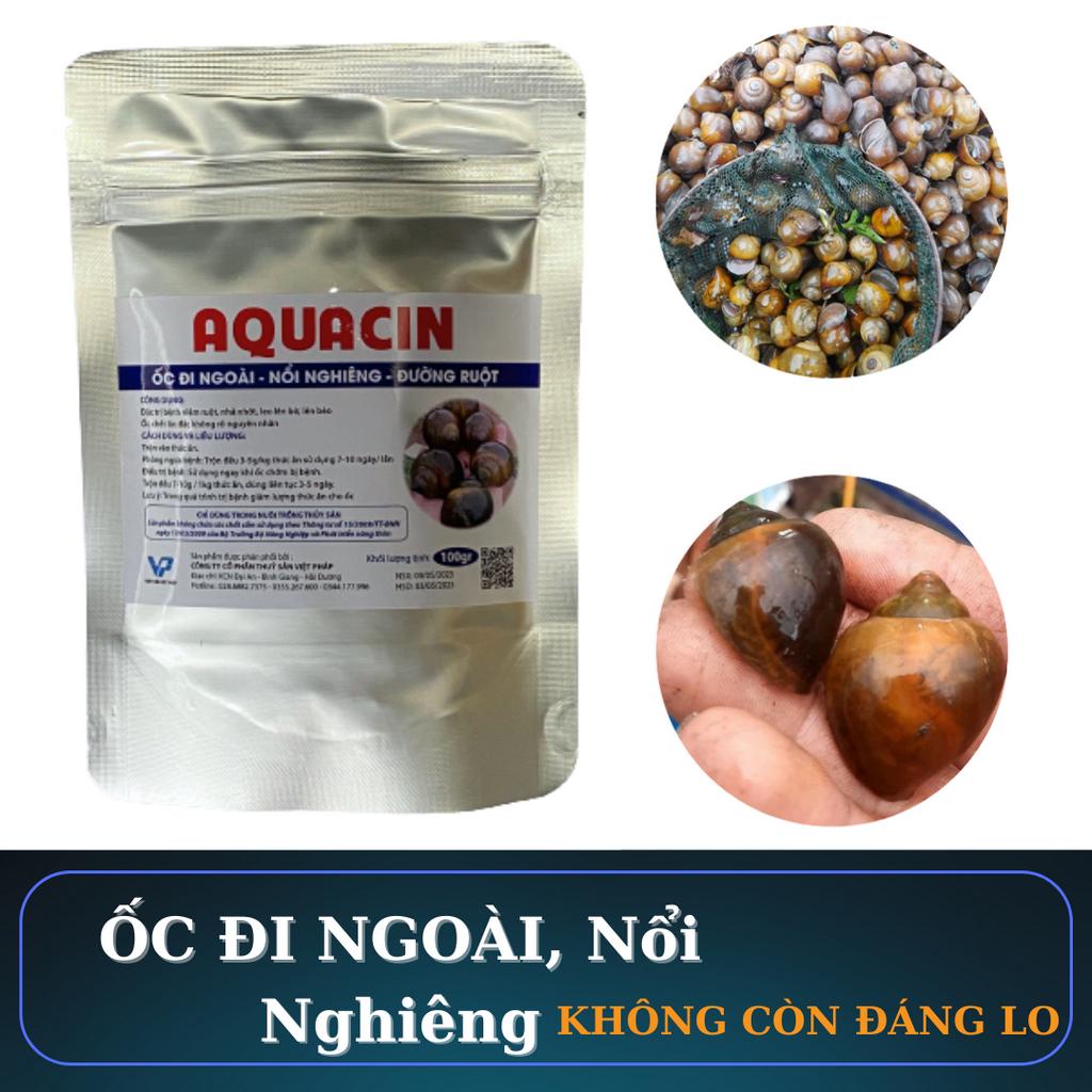 Kháng sinh AQACIN trị bệnh đường ruột cho ốc nhồi, ốc bươu đen, ốc nổi nghiêng