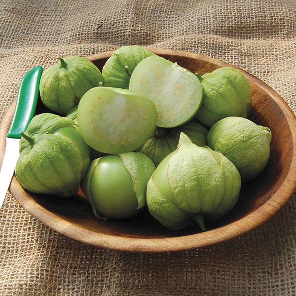 Hạt giống Thù Lù Xanh Khổng Lồ F1 (blue tomatillo) Nhập Mỹ nảy mầm 100%- 30 hạt (tầm bóp tây)