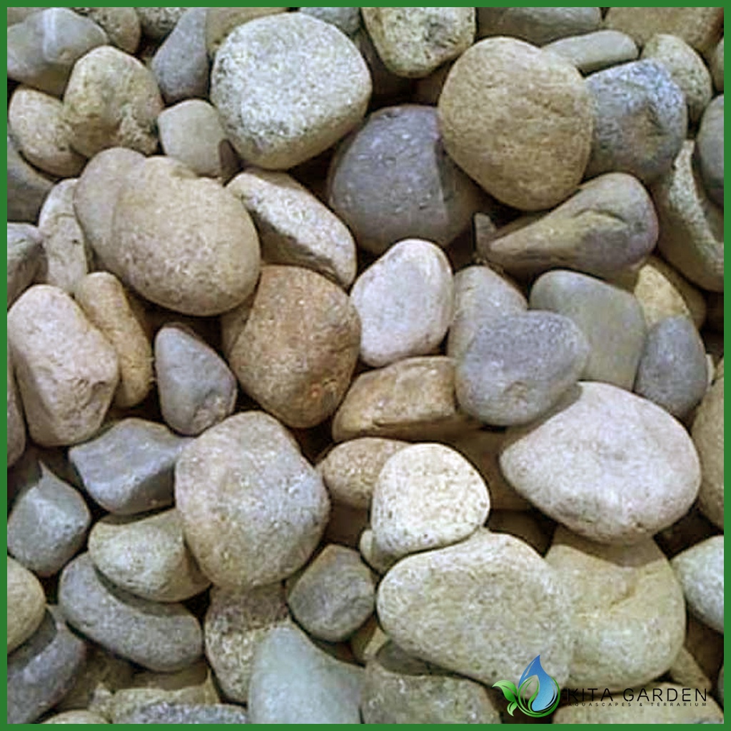 Đá Cuội Vua Siêu Vân |Trang Trí Bể Thủy Sinh, Biotope | Size To-Nhỏ