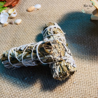 Sage may mắn, bó xô mix yebra santa, xô thơm xanh, xô thơm trắng loại 10cm