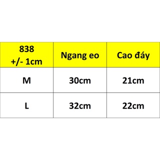 Combo 5 Quần Lót Nữ Phi Lụa Phối Ren 838 – Mềm Mịn, Quyến Rũ, Co Giãn 4 Chiều