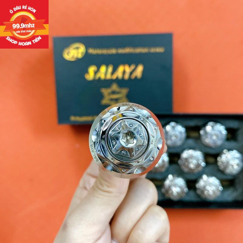 Cặp Gù Tay Lái Salaya Inox 304 Đặc Nặng Chi Tiết Đẹp Mẫu 3