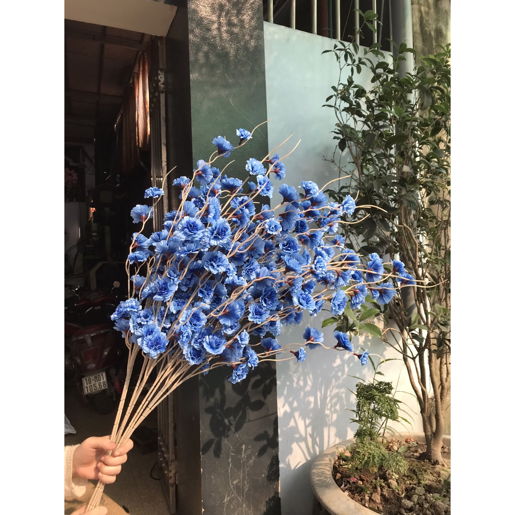 Anh Đào Râu  | Cụm Phăng Khô - Hoa Leo Giả Vải Lụa Cao Cấp Decor Trang Trí Nhà Cửa, Tết | Hà Hoa Flower