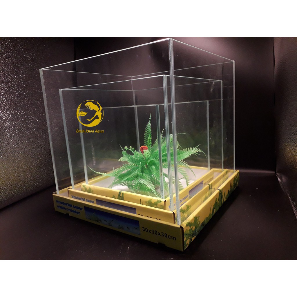 Bể Cubic siêu trong 25