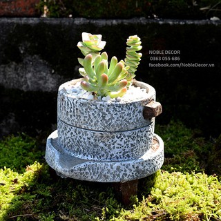 Chậu hoa hình cối xay đá size M