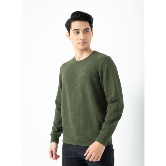 Áo nỉ nam dài tay giữ nhiệt thời trang ARISTINO ISW002W1