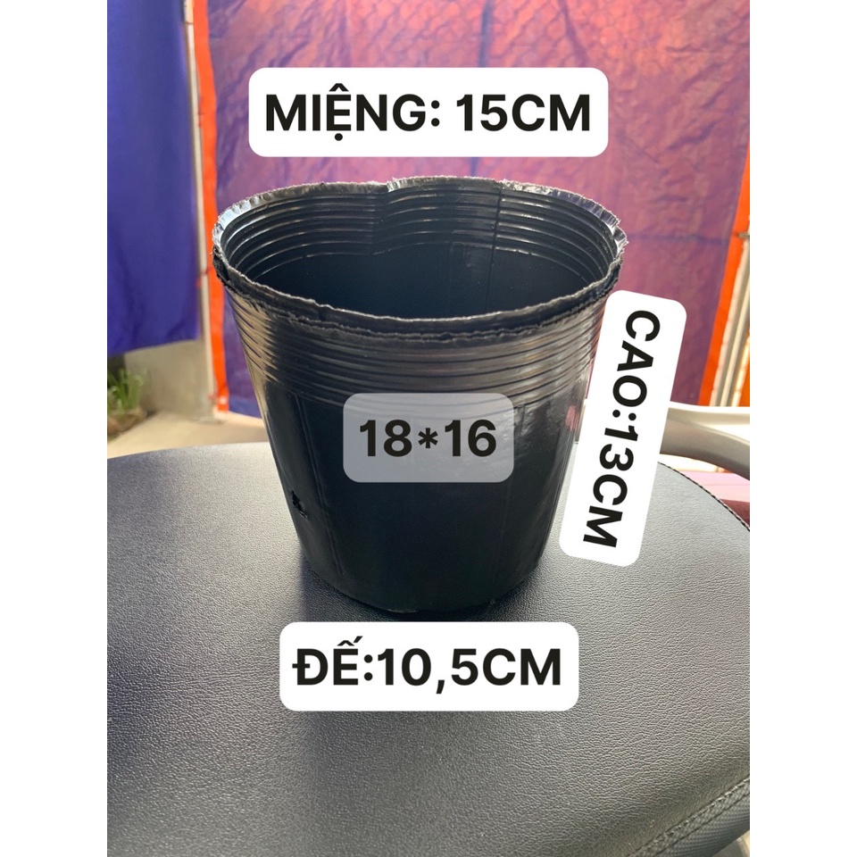 BẦU ƯƠM CÂY 18*16 ( DỊCH TRUYỀN CHO CÂY, KÍCH RỄ , MẦM CÂY XANH LÁ, LƯỚI CHE NẮNG...)