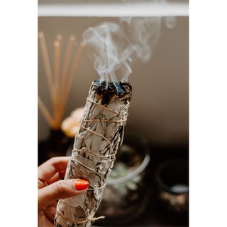 🚀[HÀNG NHẬP KHẨU - ĐỘC QUYỀN] 🌳Xô Thơm Trắng Xông Nhà White Sage Hương Tự Nhiên 100%🌍 6inch