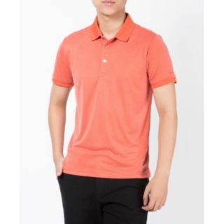 Aps 085_ aristino. regular