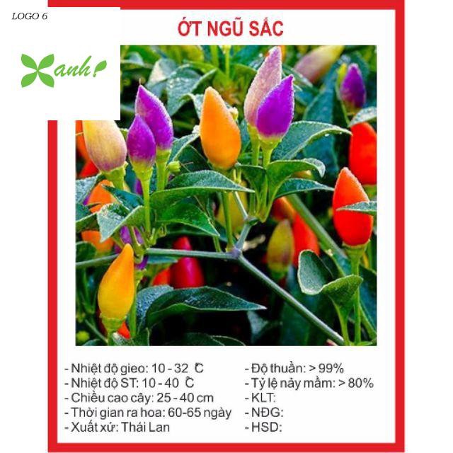 Hạt Giống Ớt Ngũ Sắc 30 Hạt