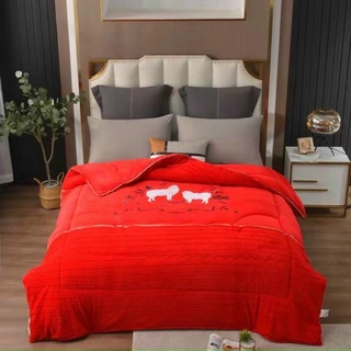  Chăn Lạc Đà Nhập khẩu Cao Cấp